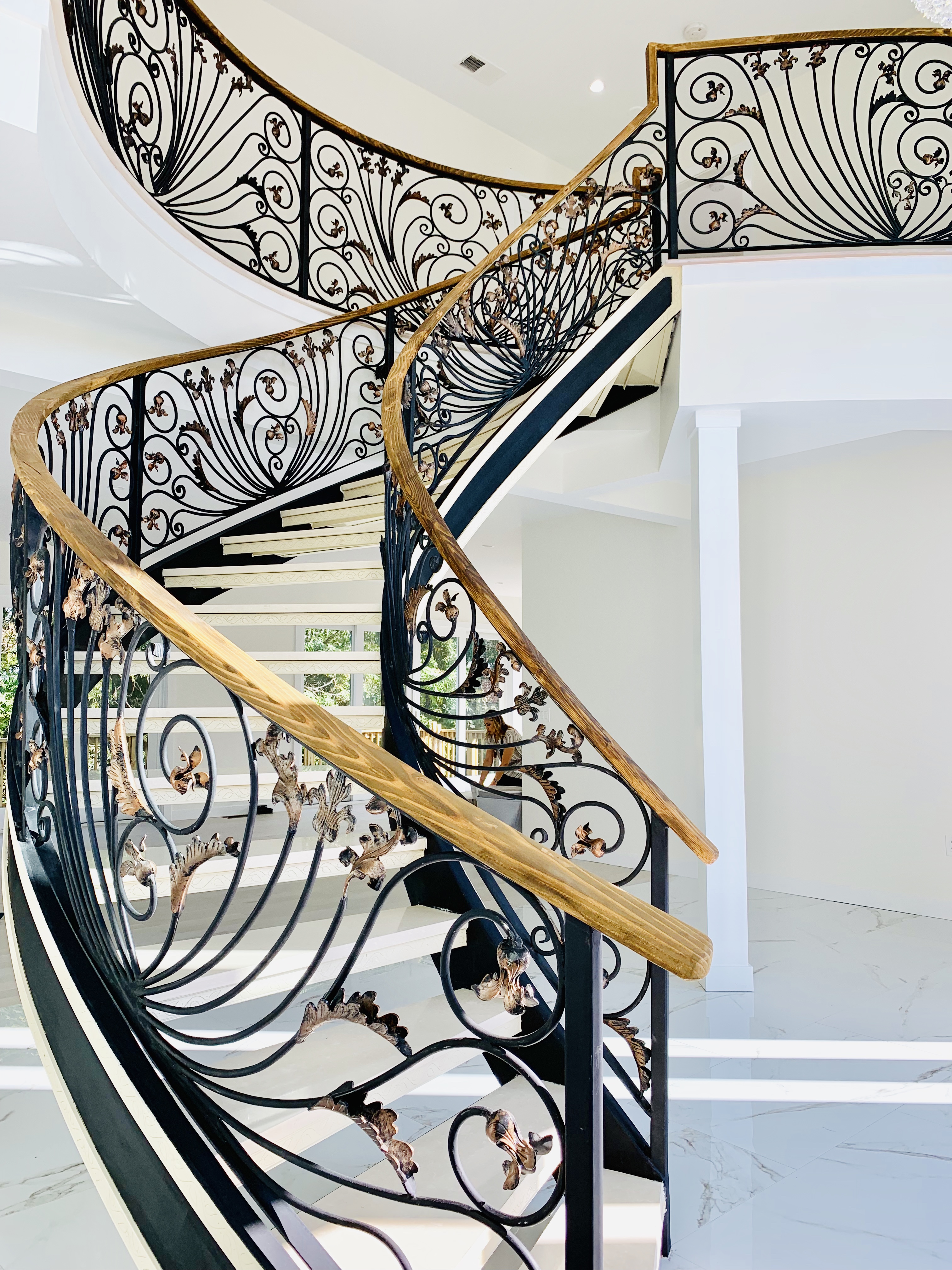 Custom iron railing — transitional style